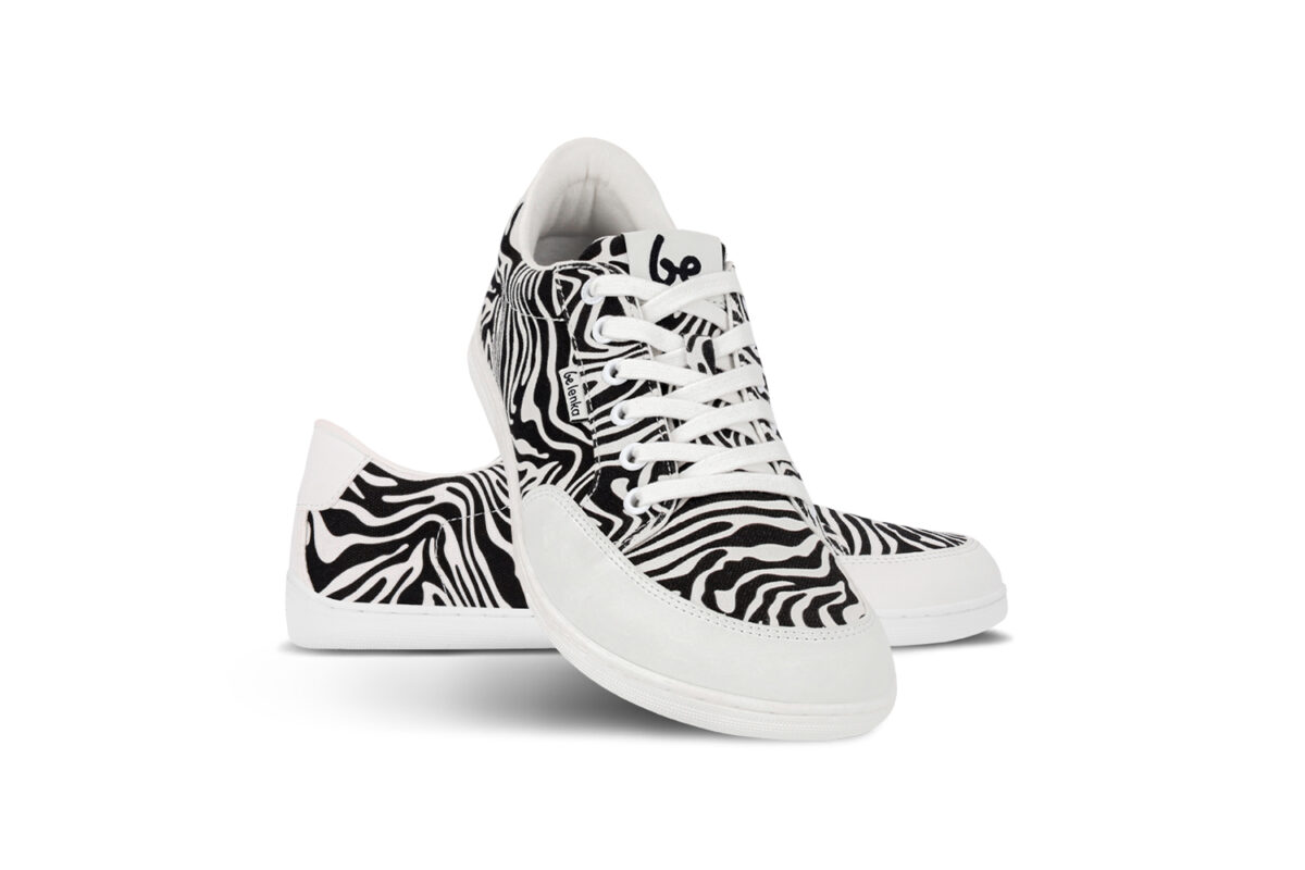 Rebound - Zebra